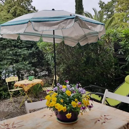 Charmant T2 Avec Jardinet Lejlighed